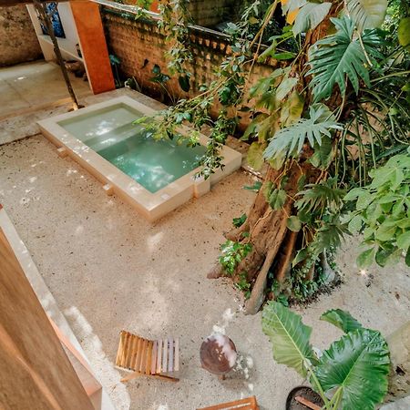 Mamacha - Natural Residence Valladolid  Ngoại thất bức ảnh